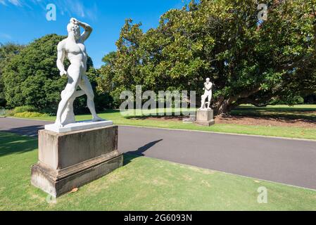 Ein Paar Marmorstatuen aus dem frühen 19. Jahrhundert, bekannt als „The Boxers“ in den Royal Botanic Gardens Sydney, Kopien der „The Greek Boxer Damoxenos“-Skulpturen Stockfoto