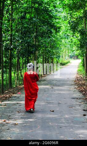 Junge Frau mit rotem Saree, die auf einer grünen Asphaltstraße unterwegs ist. Das Mädchen geht den Weg durch den Wald bis zum Licht. Stockfoto