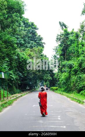 Junge Frau mit rotem Saree, die auf einer grünen Asphaltstraße unterwegs ist. Das Mädchen geht den Weg durch den Wald bis zum Licht. Stockfoto