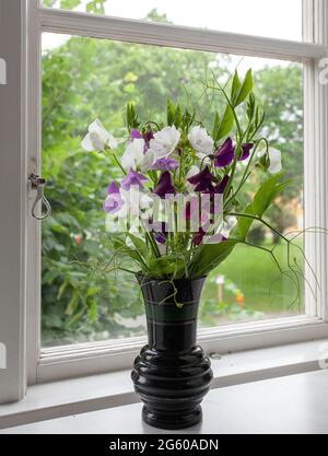 Vase mit süßen Erbsenblumen auf einer Fensterbank in Malmkoping, schweden Stockfoto