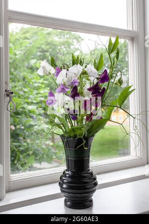 Vase mit süßen Erbsenblumen auf einer Fensterbank in Malmkoping, schweden Stockfoto