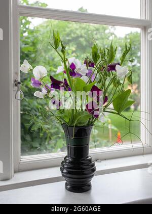 Vase mit süßen Erbsenblumen auf einer Fensterbank in Malmkoping, schweden Stockfoto