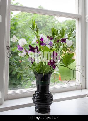 Vase mit süßen Erbsenblumen auf einer Fensterbank in Malmkoping, schweden Stockfoto