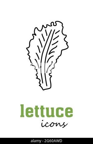 Vektorsymbol „Salat“. Vegetabilen grünen Blättern. Grün. Kulinarische Kräuterwürze zum Kochen, Medizin, Gartenbau. Bio-Produkt Geschmack Zutat f Stock Vektor