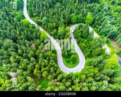 Straße Serpentin im Wald von oben Stockfoto