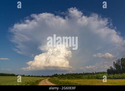 Cumulonimbus capillatus incus Wolke, isolierte Sturmwolke Stockfoto