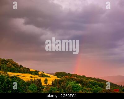 Frisch auftauchender Regenbogen steigt langsam aus dem Wald auf einem Hügel mit gelber Wiese und Wäldern. Dunkle Regenwolken am Himmel. Stockfoto