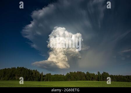 Cumulonimbus capillatus incus Wolke, isolierte Sturmwolke Stockfoto