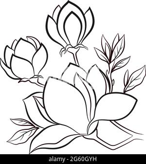 Zweig eines blühenden Magnolienbaums Blumen, schwarze Kontur isoliert auf weißem Hintergrund. Vektor Stock Vektor
