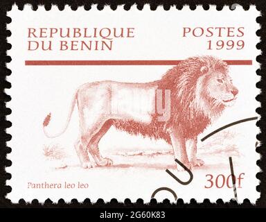 BENIN - UM 1999: Eine in Benin gedruckte Briefmarke aus der "Säugetiere"-Ausgabe zeigt den Löwen (Panthera leo), um 1999. Stockfoto