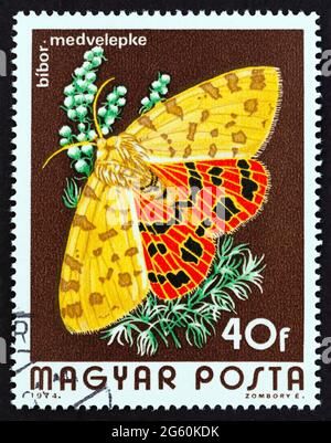 UNGARN - UM 1974: Eine in Ungarn gedruckte Marke aus der 'Butterflies'-Ausgabe zeigt den Schmetterling des Purpurtiers (Rhyparia purata), um 1974. Stockfoto