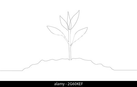 Einzelne kontinuierliche Linie Kunst wächst sprießen. Pflanze Blätter Samen wachsen Boden Keimling Öko natürliche Farm Konzept Design eine Skizze skizzieren Zeichnung Stock Vektor
