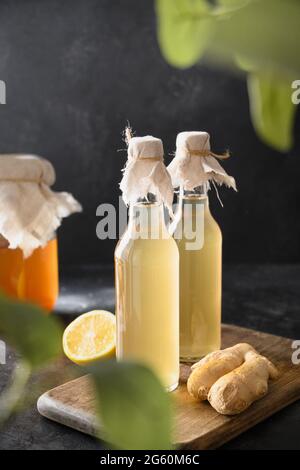 Hausgemachter Kombucha in zwei Flaschen mit Honig, Zitrone und Ingwer auf schwarzem Hintergrund. Heathy organic probiotic Drink. Vertikales Format. Nahaufnahme. Stockfoto