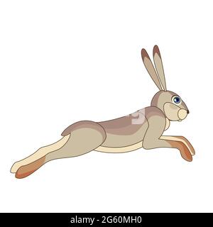 Hae rennt weg und springt. Zeichentrickfigur eines kleinen Säugetieres. Ein wildes Waldgeschöpf mit grauem Fell. Seitenansicht. Vektorgrafik flach Stock Vektor