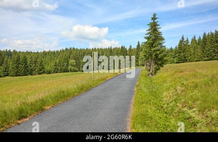 Malerische Asphaltstraße im Isergebirge in der Nähe von Jakuszyce, bekannt durch seine spektakulären Langlaufloipen, Polen. Stockfoto