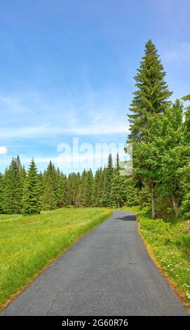 Panoramastraße im Isergebirge bei Jakuszyce, Polen. Stockfoto