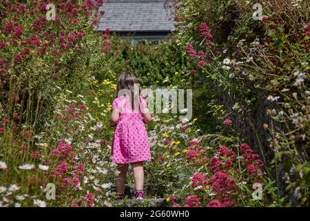 5-jähriges Mädchen mit ihrem Rücken, kein erkennbares Gesicht, das einige Treppen mit vielen Blumen klettert Stockfoto