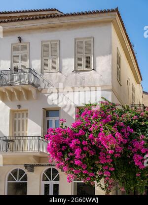 Neoklassizistische Gebäudefassade. Nafplion Stadt, Griechenland, Altstadt. Bougainvillea blühende Pflanze, rot-magentafarbene Blumen, Sommerurlaub Reiseziel Stockfoto