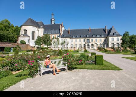 Frankreich, Somme, Authie-Tal, Argoules, die Gärten von Valloires und die Zisterzienserabtei, Rosengarten Stockfoto