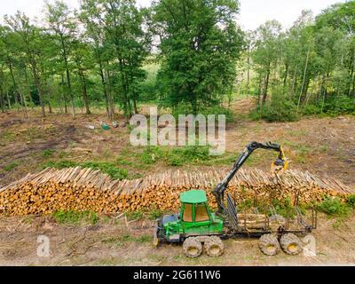 Frankreich, Val d'Oise, Montmorency Forest, Laden von Kastanienstämmen (Luftaufnahme) Stockfoto