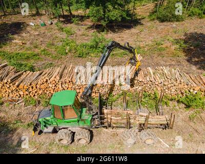 Frankreich, Val d'Oise, Montmorency Forest, Laden von Kastanienstämmen (Luftaufnahme) Stockfoto