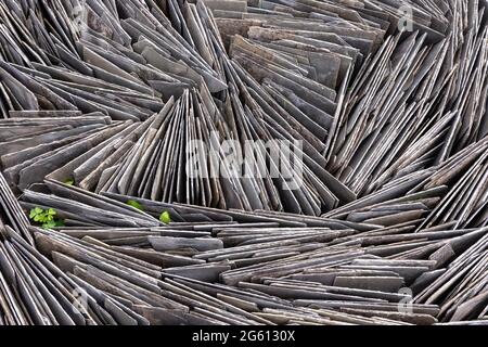 Frankreich, Ille et Vilaine, Corps Nuds, La Lande aux Pitois, Rocambole-Gärten, künstlerische Gemüse- und botanische Gärten im ökologischen Landbau, EIN Treffen zwischen Kunst und Natur, Crisscross-Schiefer Stockfoto