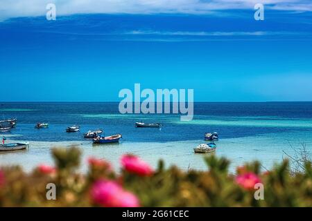 Ein schöner Blick auf die Mittelmeerküste mit Birkenwasser, einem Strand mit weißem Sand und einer grünen Palme. Stockfoto