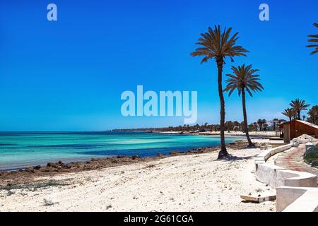 Ein schöner Blick auf die Mittelmeerküste mit Birkenwasser, einem Strand mit weißem Sand und einer grünen Palme. Stockfoto