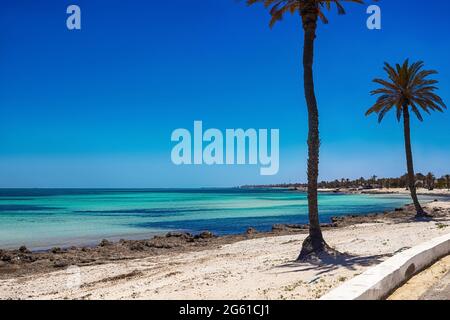 Ein schöner Blick auf die Mittelmeerküste mit Birkenwasser, einem Strand mit weißem Sand und einer grünen Palme. Stockfoto