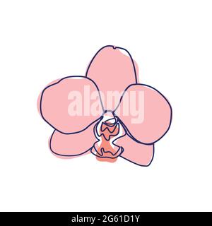 Kontinuierliche Linienzeichnung der schönen Blume Orchidee Stock Vektor