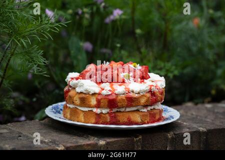 Erdbeer-Mittsommerkuchen mit Rahm Stockfoto