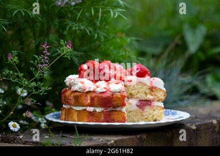 Erdbeer-Mittsommerkuchen mit Rahm Stockfoto