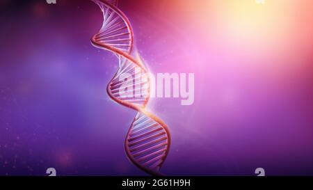 DNA-Doppelhelix-Modell auf violettem Hintergrund, 3D-Rendering. Stockfoto