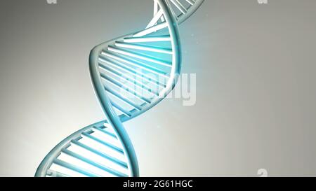 DNA-Doppelhelix-Modell auf hellgrauem Hintergrund, 3D-Rendering. Stockfoto