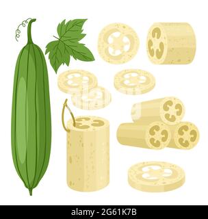 Cartoon flache Loofa-Kollektion mit Bio-Badezubehör für Peeling Körperpflege, natürliche landwirtschaftliche grüne Luffa-Frucht und Blätter Ikonen isoliert auf Stock Vektor