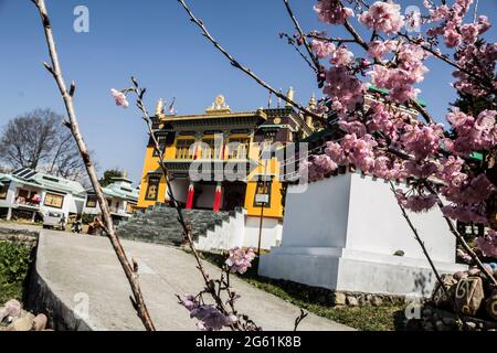 Kloster in Bir Billing, Himachal Stockfoto