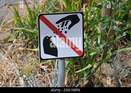 Kastrup/Dänemark. 01. Juli 2021, nicht füttern Vögel Zeichen in Blumen Straßenrand in Kastrup Denamrk. (Foto..Francis Joseph Dean/Dean Bilder) Stockfoto