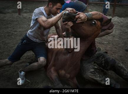 Rapa das Beste en Amil. Stockfoto