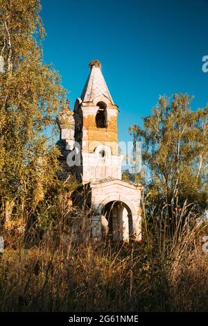 Martinovo, Beschenkowitschski Bezirk, Witebsk Gebiet, Weißrussland. Alte Ruinen Der Kirche Der Fürbitte Der Allerheiligsten Theotokos. Ruinen Der Altstadt Stockfoto