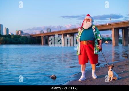 Der Weihnachtsmann in Shorts geht mit dem Hund Jack Russell Terrier am Strand entlang. Stockfoto