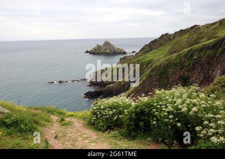 Blick über den Ärmelkanal und den Mew Stone vom South West Coastal Path in der Nähe von Kingswear, South Devon. Stockfoto