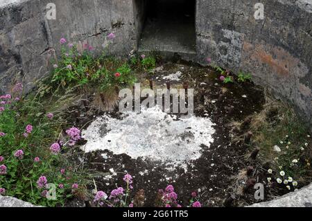 Überreste einer Waffeneinlage aus dem 2. Weltkrieg, die in die Felswand gesetzt wurde, am Standort der Brownstone Emergency Battery am Froward Point in der Nähe von Kingsmere, Devon. Stockfoto
