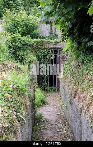 Versperrte Tür am Ende eines Grabens, die zu einem der verbleibenden Gebäude bei Brownstone Emergency Gun Battery in der Nähe von Kingswear Devon führt. Stockfoto