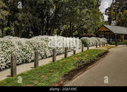 Skyhog Mt Dandenong. 26 Observatory Rd, Mount Dandenong VIC 3767. Australien. 3. Januar 2014. Ein Erholungspark mit Skulpturen, Blumen, Pfaden und b Stockfoto