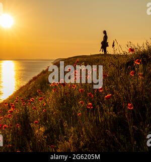 Silhouette einer schlanken Frau, die bei Sonnenuntergang auf einem grasbewachsenen Hügel neben dem Meer steht, mit einer bunten roten Mohnblumenwiese im Vordergrund Stockfoto