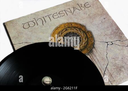 Klassische Rockband, Whitesnake, Musikalbum auf Vinyl-Schallplatte. Selbstbetiteltes Album. Albumcover Stockfoto