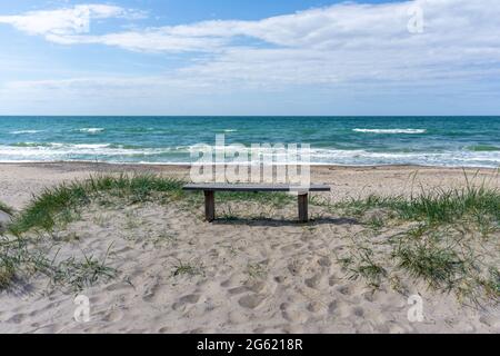 Ein vertikaler Blick auf eine Holzbank an einem idyllischen, abgelegenen, leeren Strand Stockfoto