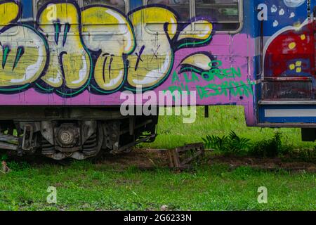 Stillgelegte Züge, mit Graffiti bemalt, gelagert in einem Lager in Colegiales, Buenos Aires, Argentinien. Stockfoto