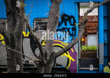 Stillgelegte Züge, mit Graffiti bemalt, gelagert in einem Lager in Colegiales, Buenos Aires, Argentinien. Stockfoto