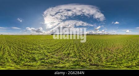 Full nahtloses spherical hdri Panorama 360 Grad Winkelansicht auf unter den Feldern am Sommertag mit atemberaubenden Wolken in äquirequeckiger Projektion, bereit für Stockfoto